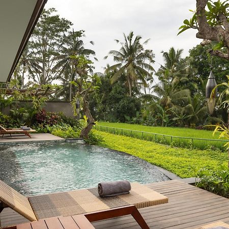 Alas Harum Villas By Inara Payangan Eksteriør bilde