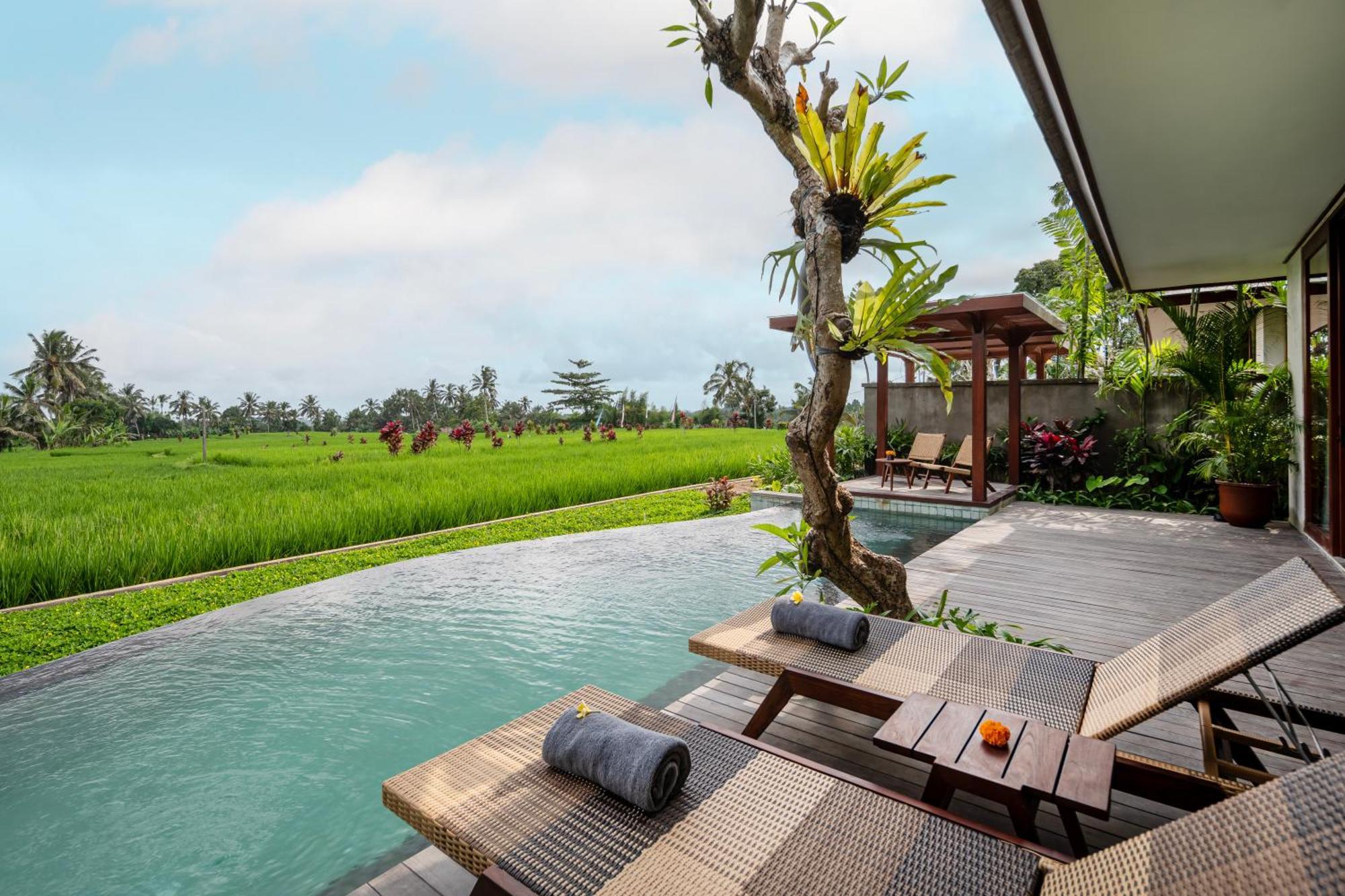 Alas Harum Villas By Inara Payangan Eksteriør bilde